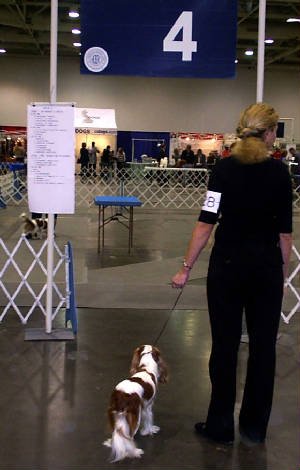 Ella & Lorie waiting to go into the ring.