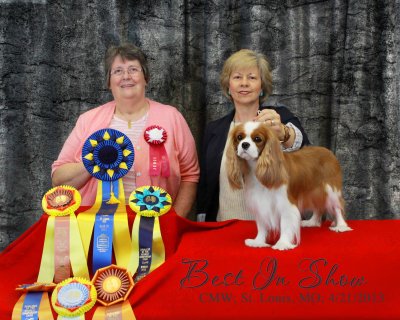 Margot wins Best In Show